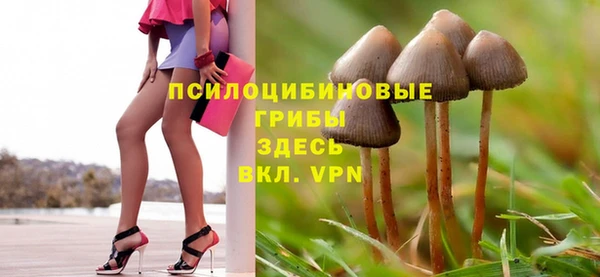 ГАЛЛЮЦИНОГЕННЫЕ ГРИБЫ Алзамай