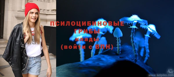 Альфа ПВП Алексин