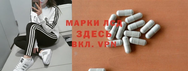 ГАЛЛЮЦИНОГЕННЫЕ ГРИБЫ Алзамай