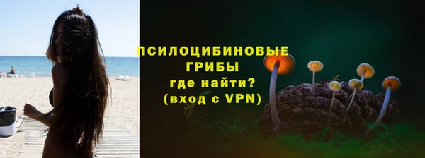 Альфа ПВП Алексин