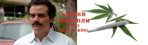 ГАЛЛЮЦИНОГЕННЫЕ ГРИБЫ Алзамай